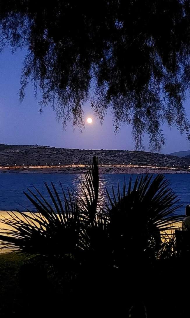 Alianthos Beach Apartment Vári Extérieur photo